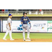 Charleston RiverDogs react after a big hit