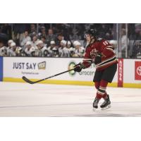 Tucson Roadrunners defenseman Maveric Lamoureux