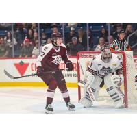 Colin Fitzgerald of the Peterborough Petes vs. the Guelph Storm