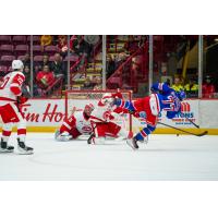 Kitchener Rangers' Justin Bottineau in action