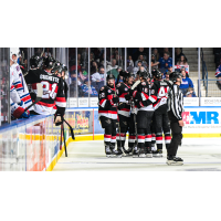 Belleville Senators on the ice