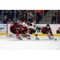 Medicine Hat Tigers battle the Vancouver Giants