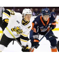 Flint Firebirds face off with the Sarnia Sting