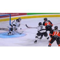 Wichita Thunder's Aaron Dell and Nico Somerville battle Kansas City Mavericks' Charlie Wright and Jackson Berezowski