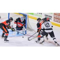 Wichita Thunder forward Dillon Boucher looks for a scoring opportunity against the Kansas City Mavericks