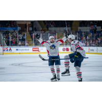 Springfield Thunderbirds on game night