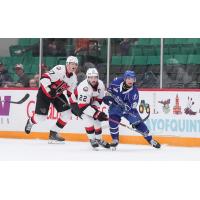 Syracuse Crunch battle the Belleville Senators