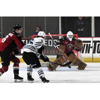 Vancouver Giants goaltender Burke Hood