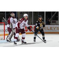 Peterborough Petes goaltender Zach Bowen and defenceman Matthew Jenken vs. the Kingston Frontenacs