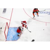 Allen Americans look for a score against the Kansas City Mavericks