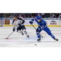 Wichita Thunder forward Michal Stinil (right)