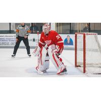 Goaltender Carter Gylander