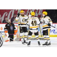 Wheeling Nailers celebrate a goal against the Reading Royals