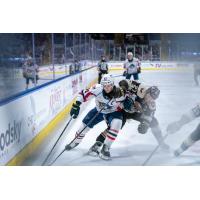 Springfield Thunderbirds center Matthew Peca vies for room along the boards