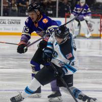 Knoxville Ice Bears' Jimmy Soper and Quad City Storm's Weiland Parrish in action