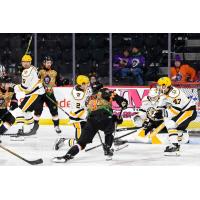 Wheeling Nailers defend against the Reading Royals