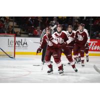 Peterborough Petes catch up to Aiden Young following his goal