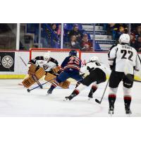 Vancouver Giants goaltender Burke Hood awaits a shot