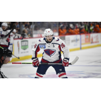 South Carolina Stingrays forward Ryan Leibold