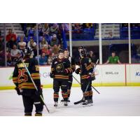 Vancouver Giants forward Kyren Gronick