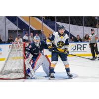 Worcester Railers' Henrik Tikkanen and Norfolk Admirals' Kamerin Nault on game night