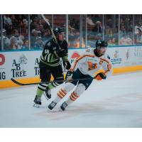 Savannah Ghost Pirates' Keltie Jeri-Leon and Greenville Swamp Rabbits' Ben Freeman on game night