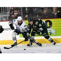 Wenatchee Wild's Zane Saab battles Everett Silvertips' Rylan Pearce