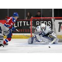 Edmonton Oil Kings' Marshall Finnie and Wenatchee Wild's Daniel Hauser in action