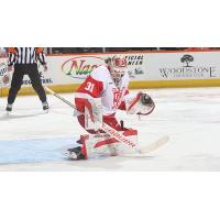 Grand Rapids Griffins goaltender Carter Gylander