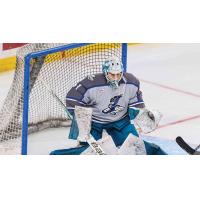 Wichita Thunder goaltender Gabriel Carriere