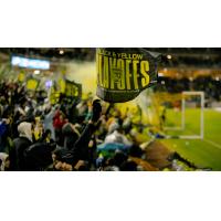 Fans cheer on New Mexico United