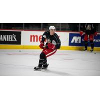 Grand Rapids Griffins left wing Carson Bantle