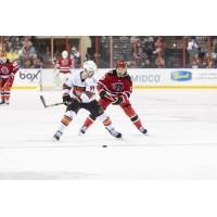 Rapid City Rush forward Maurizio Colella (right)