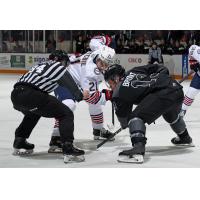 Peterborough Petes face off with the Oshawa Generals