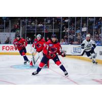 South Carolina Stingrays on the ice