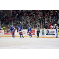 Kitchener Rangers on the ice