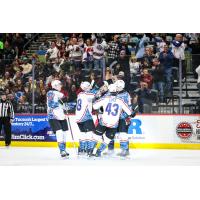 Tucson Roadrunners' Artem Duda congratulated by team