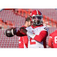 Calgary Stampeders quarterback P.J. Walker