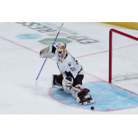 Jacksonville Icemen goaltender Justen Close