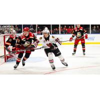 Grand Rapids Griffins defend against the Rockford IceHogs