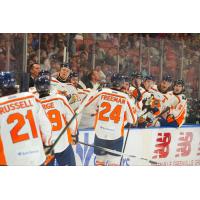 Greenville Swamp Rabbits exchange congratulations along the bench