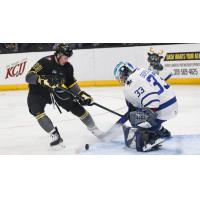 Wichita Thunder goaltender Trevor Gorsuch eyes a loose puck