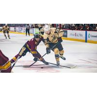 Chicago Wolves' Domenick Fensore battles Grand Rapids Griffins' Nate Danielson