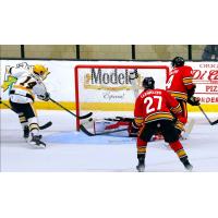 Wheeling Nailers' David Jankowski battles Indy Fuel's Darby Llewellyn and Luc Salem