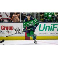 Maine Mariners forward Chase Zieky