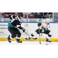 Wichita Thunder defenseman Jeremie Bucheler (left) vs. the Utah Grizzlies