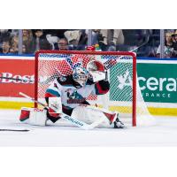 Kelowna Rockets goaltender Jari Kykkanen