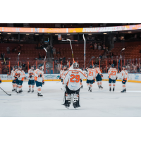 Greenville Swamp Rabbits on the ice