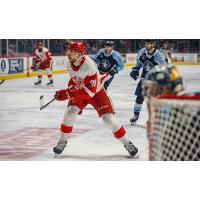 Grand Rapids Griffins left wing Tim Gettinger