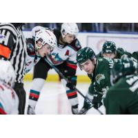 Max Graham of the Kelowna Rockets ready for a faceoff